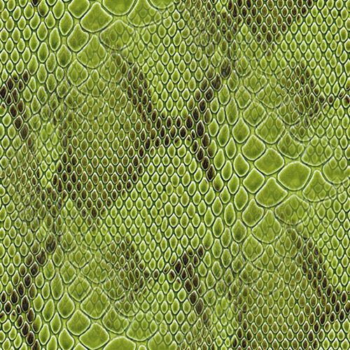 Peau de serpent 2-5