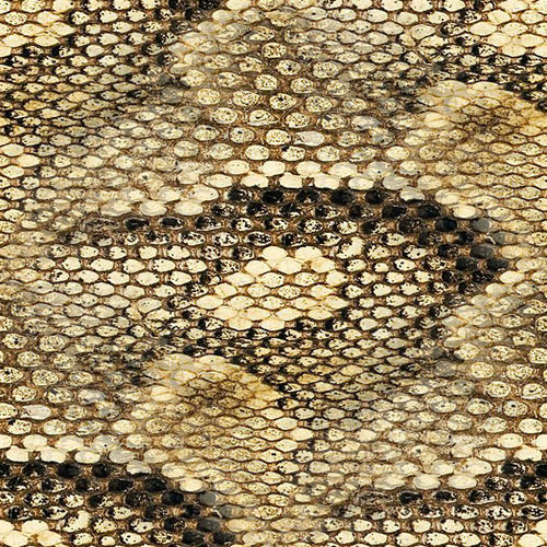 Peau de serpent 2-8