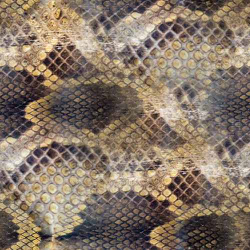Peau de serpent 3-1
