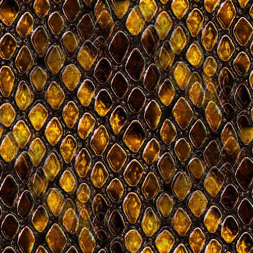 Peau de serpent 3-11