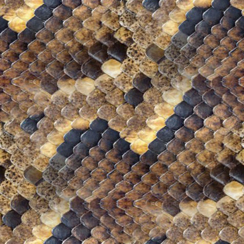 Peau de serpent 3-12