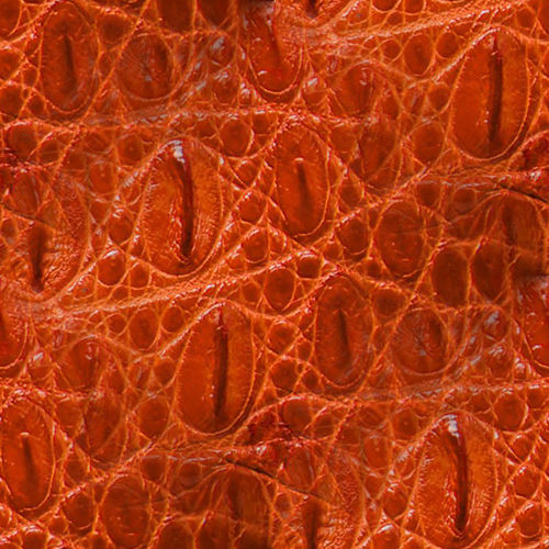 Peau de serpent 3-8