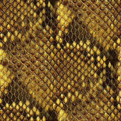 Peau de serpent 4-2