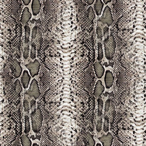 Peau de serpent 4-3