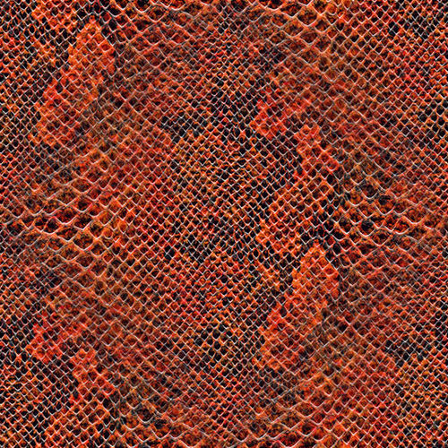 Peau de serpent 4-5