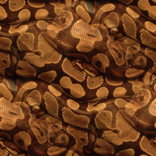Peau de serpent 4-9