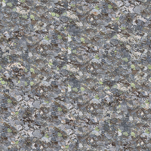 Terre 10-1 Terre 10-1