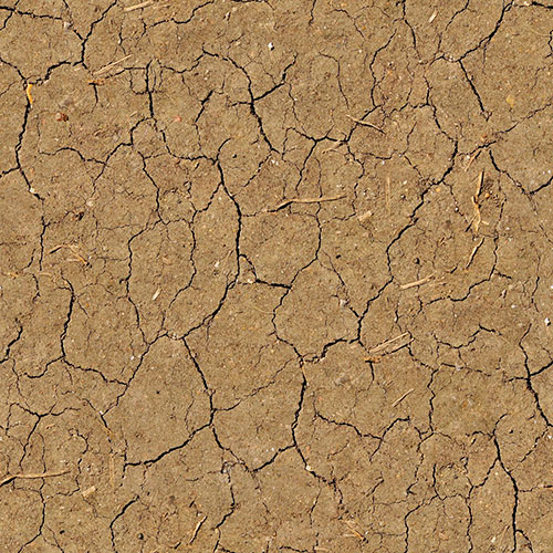 Terre 1-12 Terre 1-12