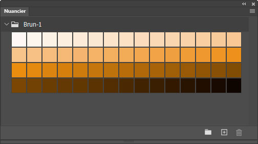 Nuancier Brun (1)
