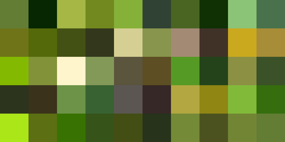 Nuancier Herbe (2) Nuancier Herbe (2)