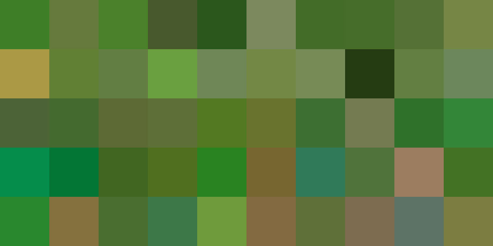 Nuancier Herbe (4) Nuancier Herbe (4)