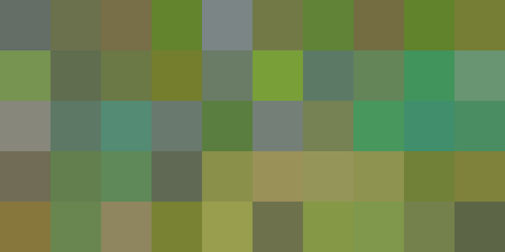 Nuancier Herbe (5) Nuancier Herbe (5)