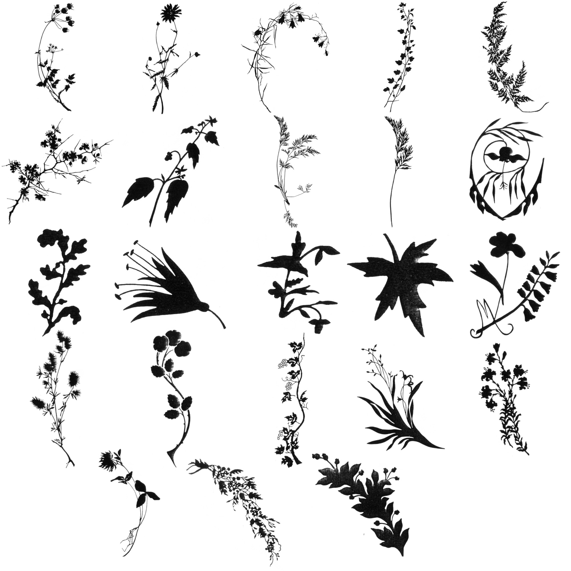 Pinceaux Feuilles (1) Pinceaux Feuilles (1)