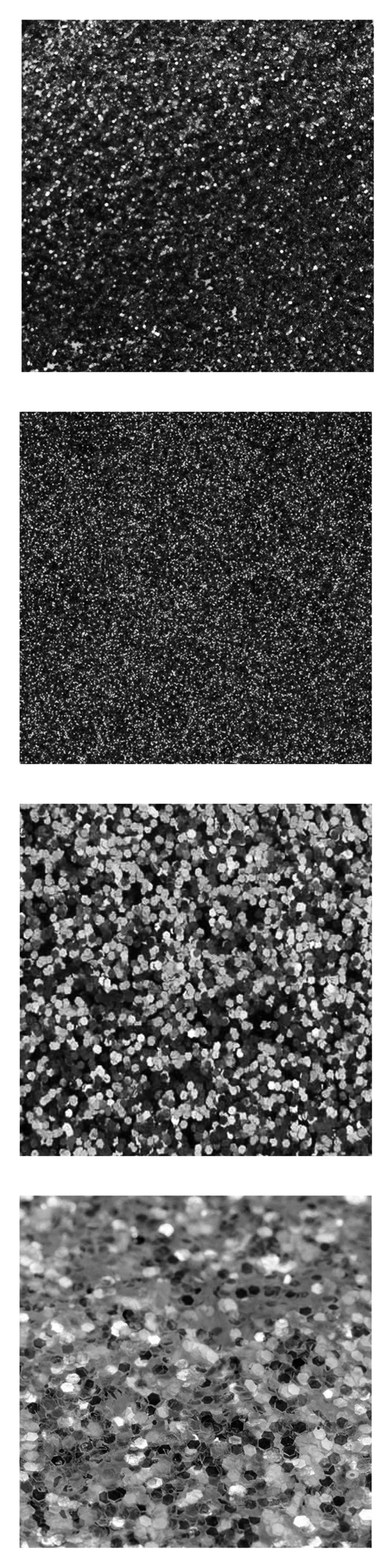Pinceaux Paillettes (6) Pinceaux Paillettes (6)