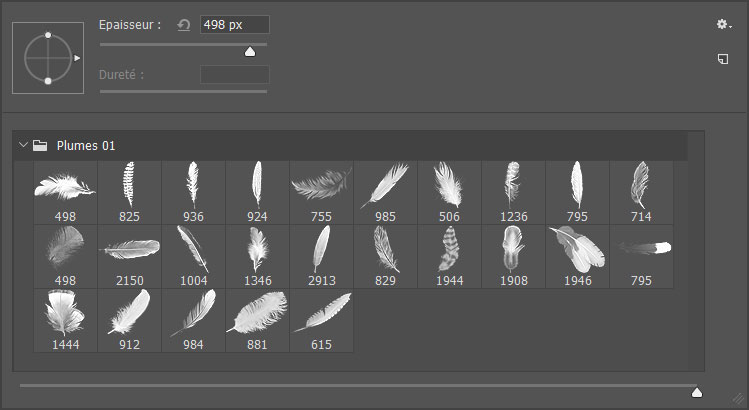 Pinceaux Plumes (1)
