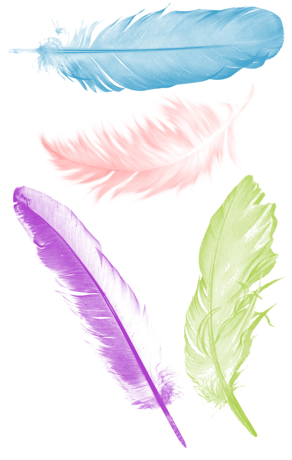 Pinceaux Plumes (1)