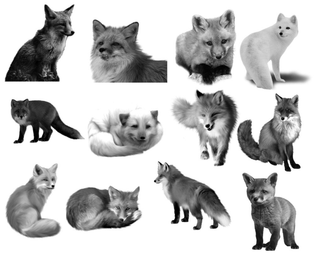 Pinceaux Renards (1) Pinceaux Renards (1)