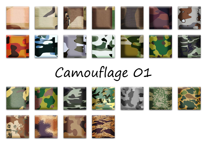Styles Camouflage 01