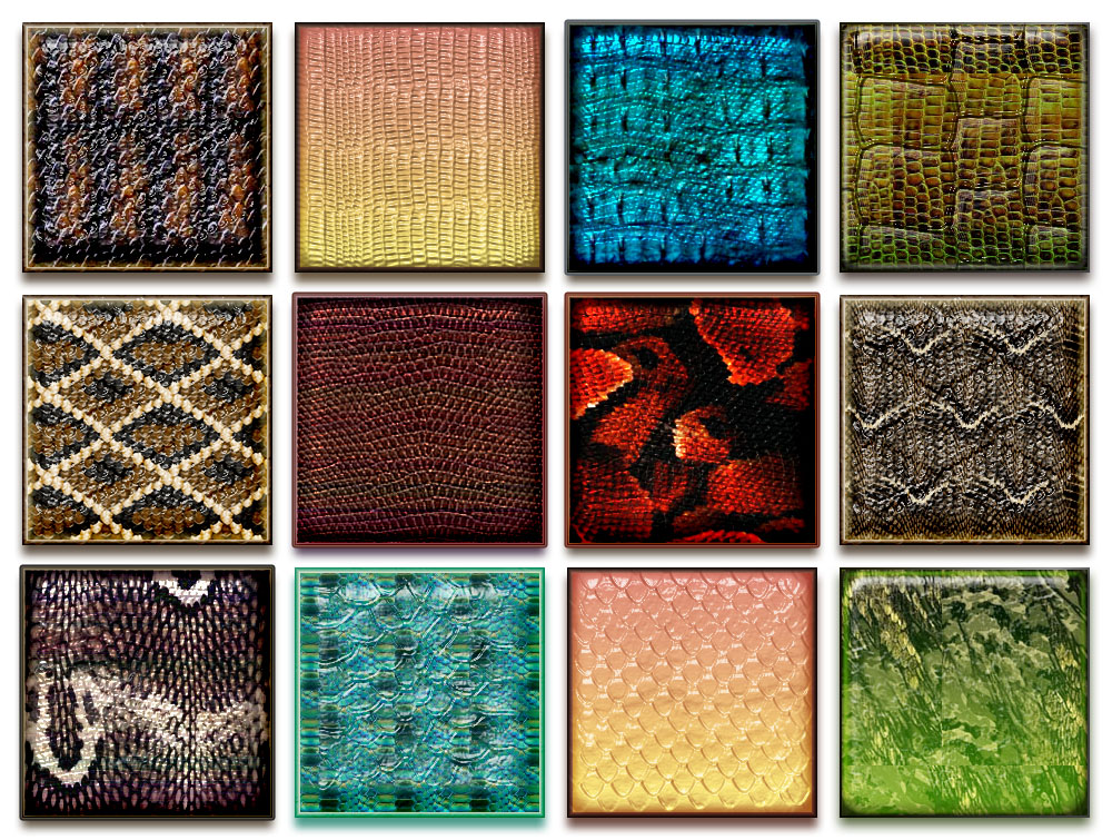 Styles Peau de serpent (1) Styles Peau de serpent (1)