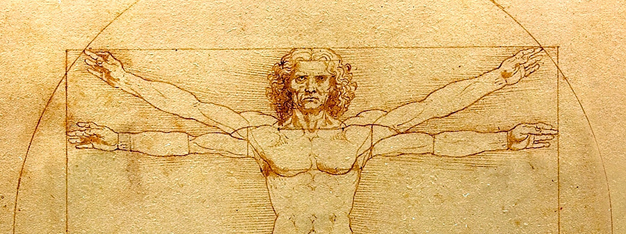 Anatomie humaine et Homme de Vitruve