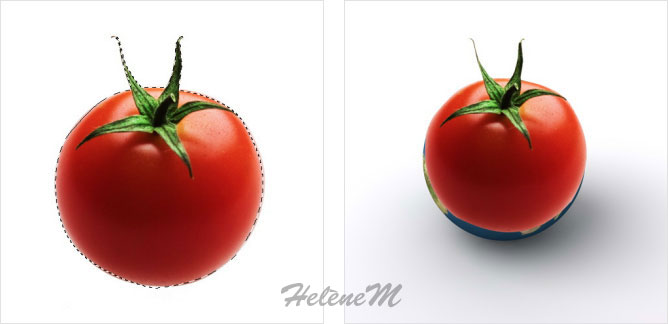 Détourez la tomate