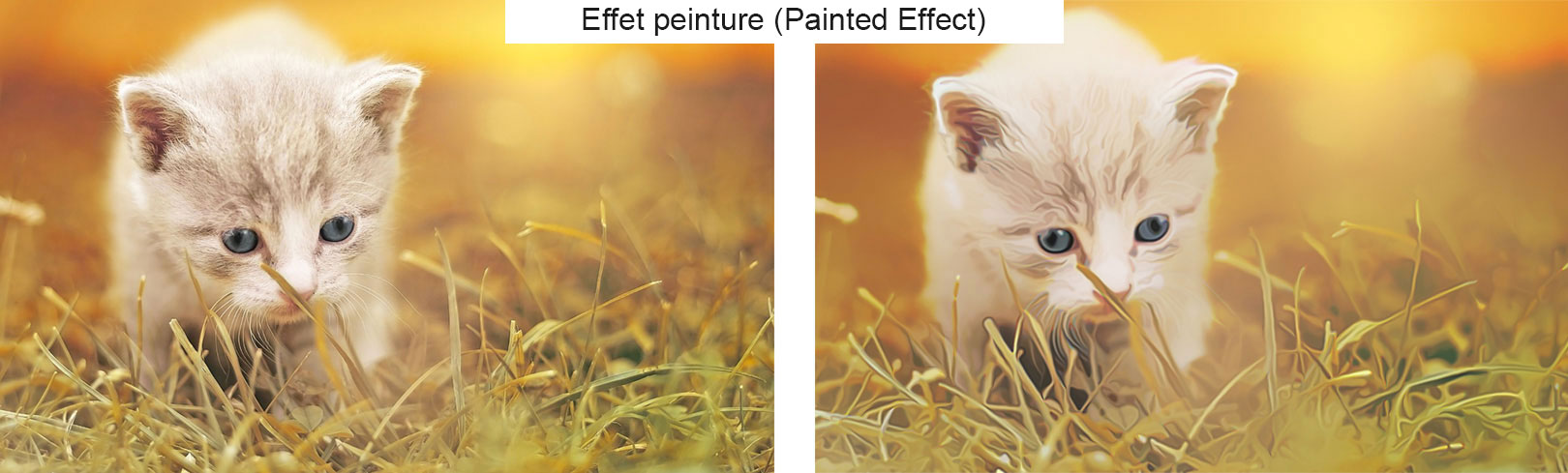 Effet peinture (Painted Effect)