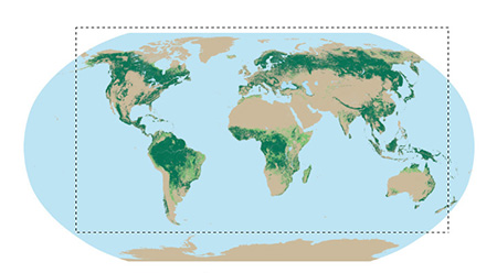 Carte des forêts du Monde