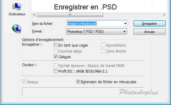 Enregistrer en PSD