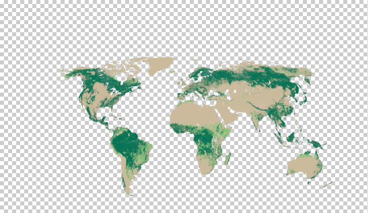 Carte des forêts