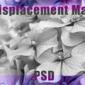 Action Displacement Map