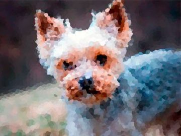 Actions : Effet Low poly Actions Effet Low poly
