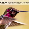 Action Renforcement de la netteté