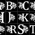 Formes Alphabet fleurs (3)
