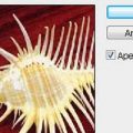 Améliorer la netteté avec le filtre Accentuation