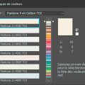 Bibliothèque de couleurs Pantone F+H Cotton