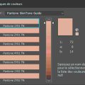 Bibliothèque de couleurs Pantone SkinTone Guide