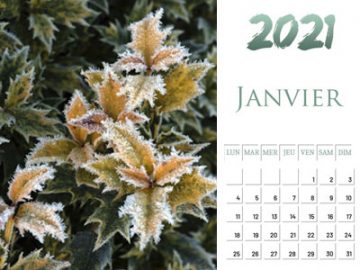 Calendrier 2021 en .pdf Calendrier 2021 gratuit