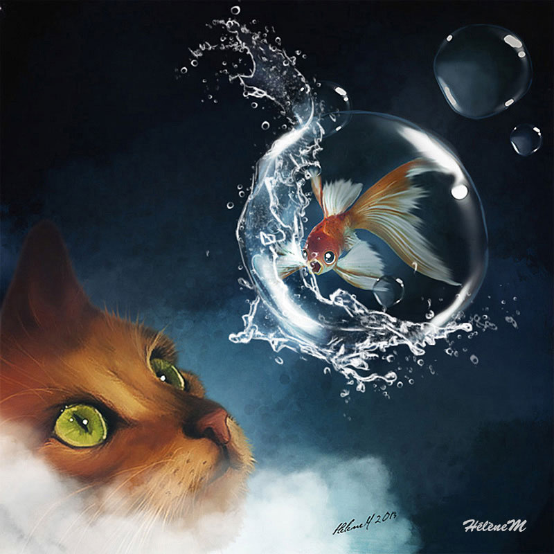 Chat et poisson bulle - HélèneM