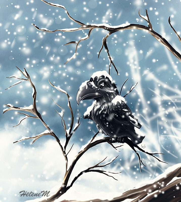 Corbeau sous la neige - HélèneM