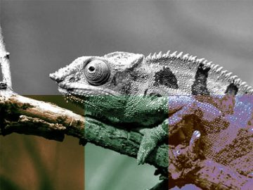 Paramètres Courbes (10) couleurs Paramètres Courbes (10) couleurs