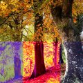 Paramètres Courbes (8) couleurs