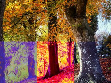 Paramètres Courbes (8) couleurs Paramètres Courbes (8) couleurs