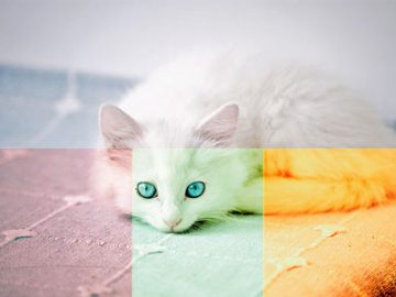 Paramètres Courbes (9) couleurs Paramètres Courbes (9) couleurs