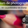 Photographie (10) La profondeur de champ