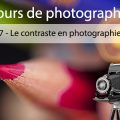 Photographie (7) Le contraste en photographie