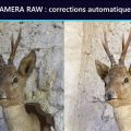 Camera Raw corrections automatiques