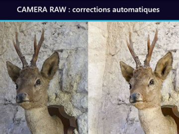Camera Raw : corrections automatiques Camera Raw corrections automatiques