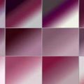 Dégradés Rose (03)