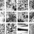 Displacement Map Grunge (3)