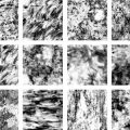 Displacement Map Grunge (5)